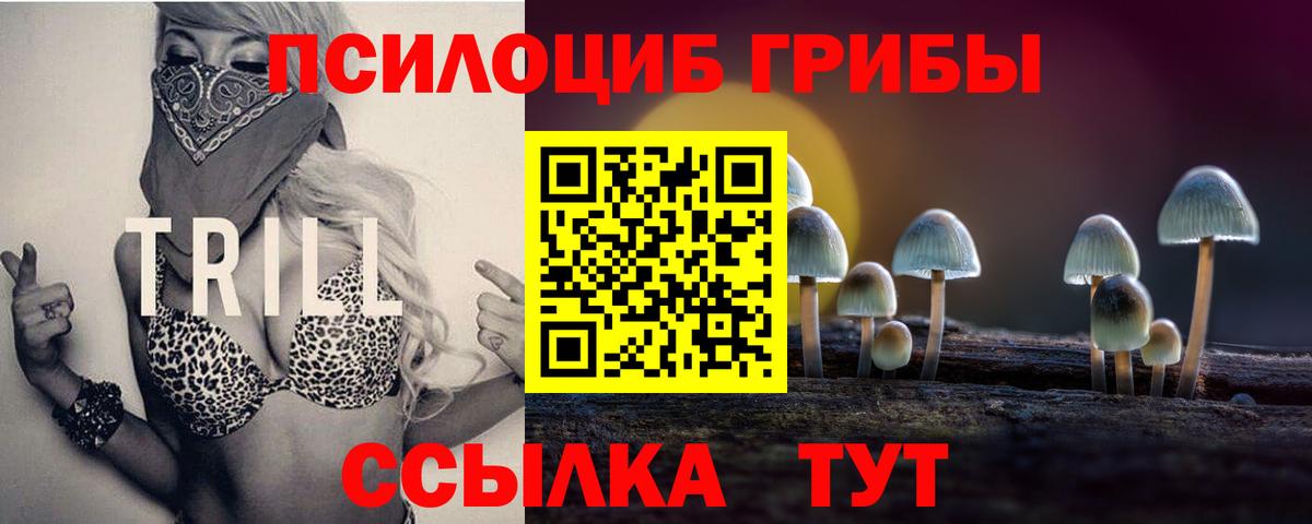 Галлюциногенные грибы MAGIC MUSHROOMS  Галлюциногенные грибы мицелий  Курчалой  Вход с VPN 