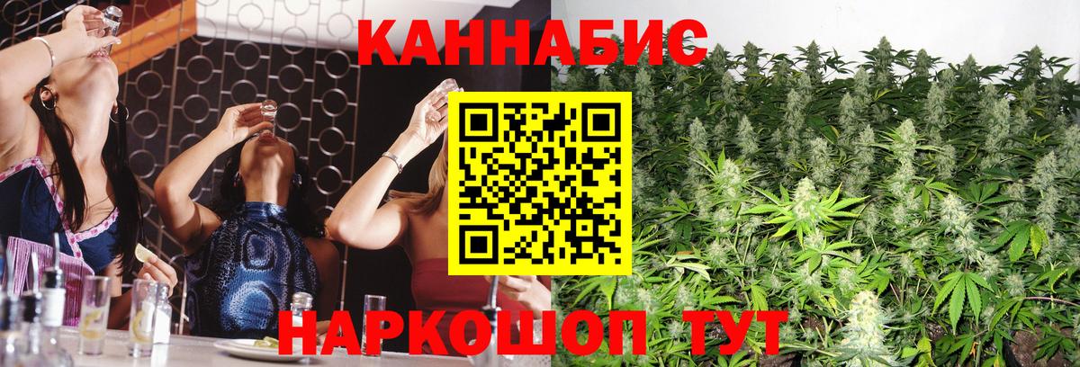МАРИХУАНА Bruce Banner Курчалой